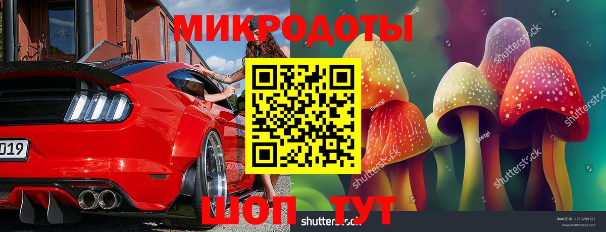 Галлюциногенные грибы Psilocybe Кашира