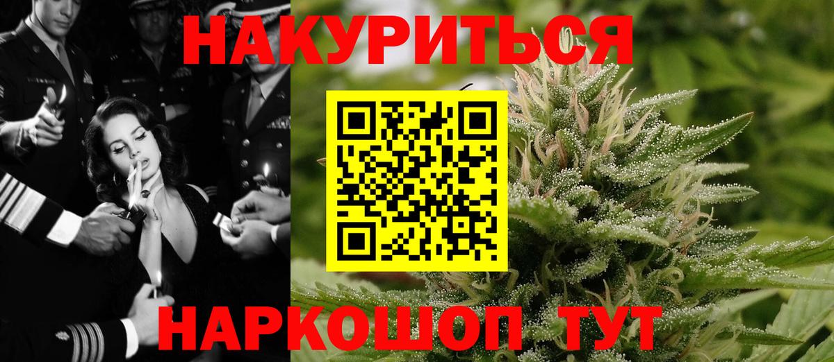 Марихуана гибрид Кашира